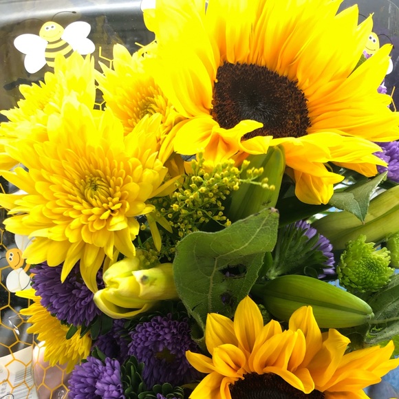 Meet your Posher, Whitney - Picture 1 of 1